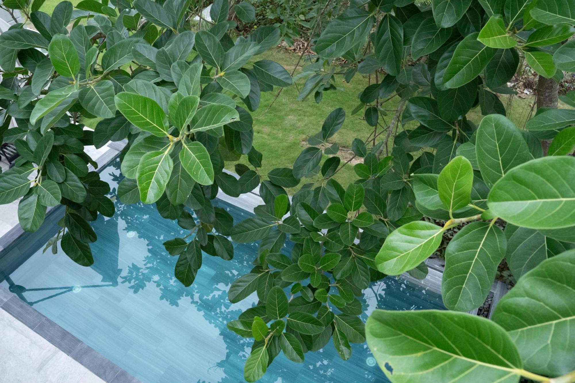 "Brg Golf Club" - Danang Private Pool Villa 3 Bedrooms #3 Extérieur photo